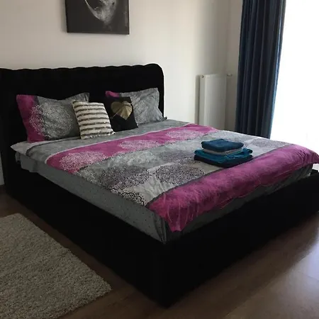 Ioan Popasu Apartment *