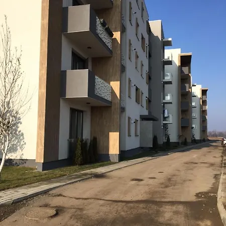 Ioan Popasu Apartment *