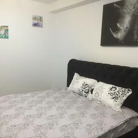 Apartament Ioan Popasu *