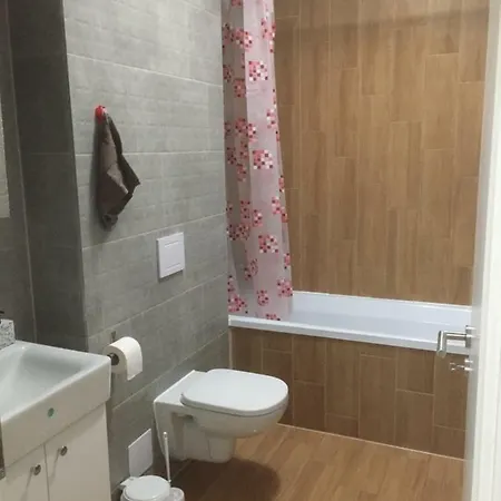 Ioan Popasu Apartment Brasov